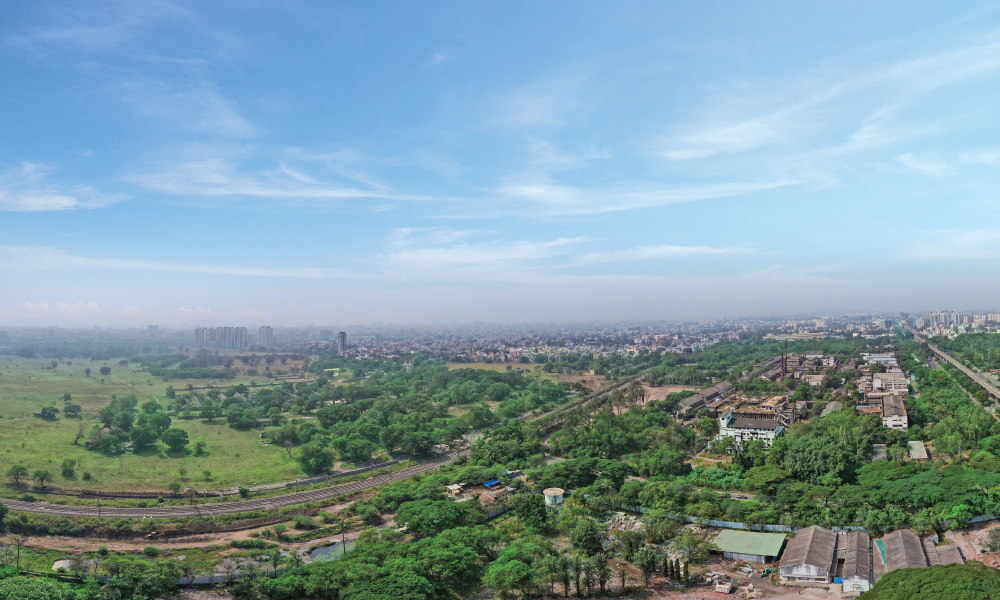 View